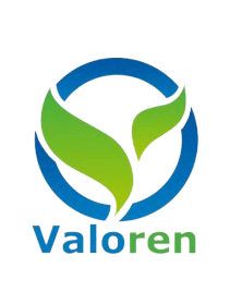 Robiel Logo